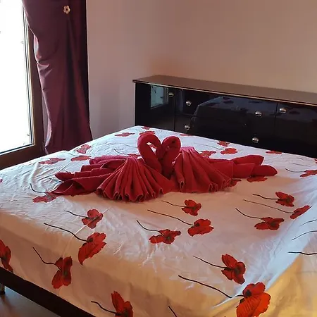 Family Apartment 公寓 *